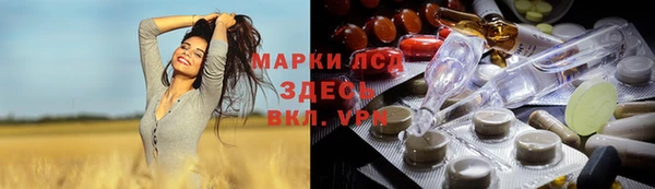 PSILOCYBIN Богородицк