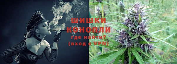 PSILOCYBIN Богородицк
