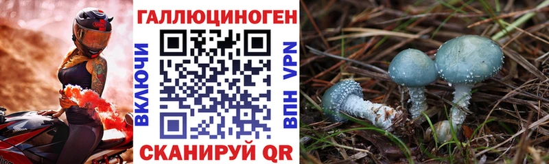 Галлюциногенные грибы Psilocybe  цена   Весьегонск 